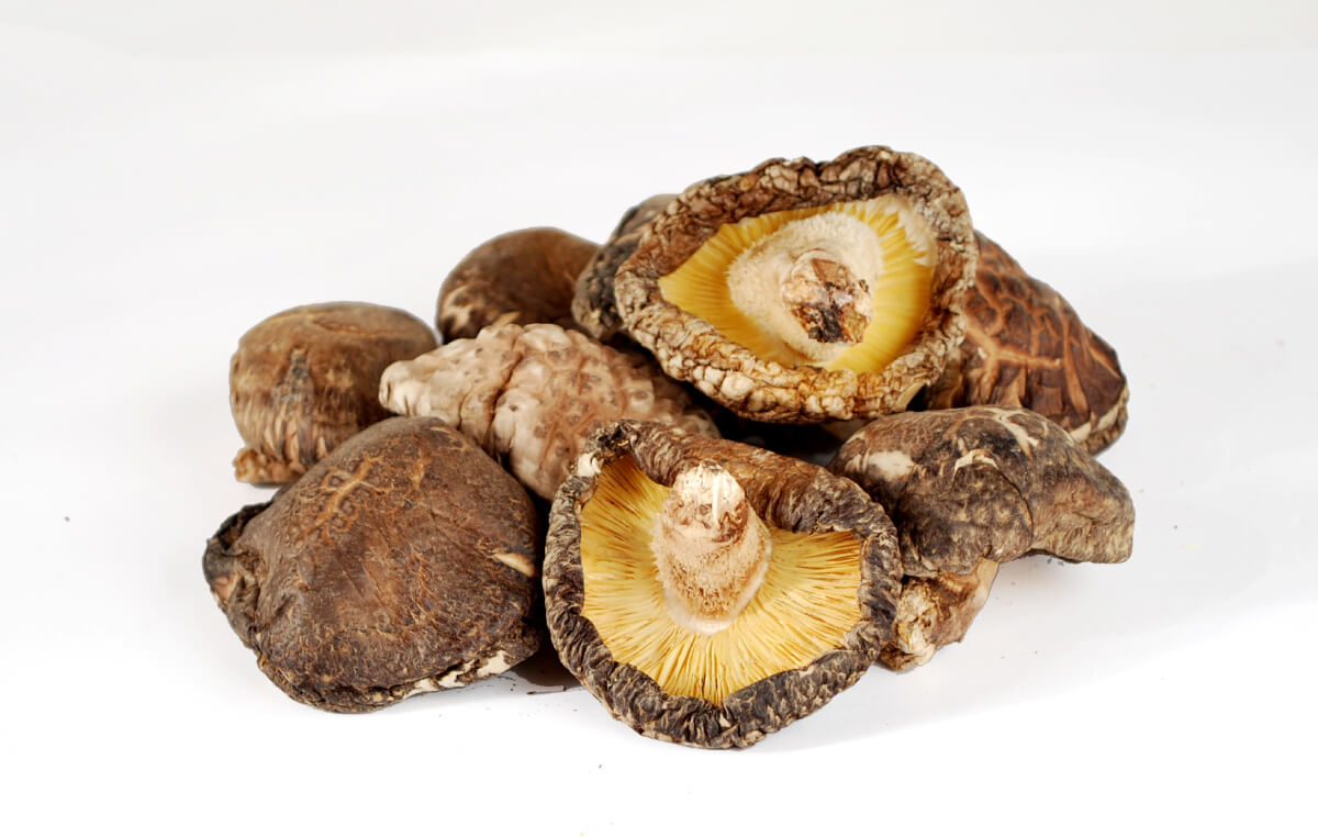 原木椎茸について Premium Dried Shiitake | 乾椎茸の卸・販売 武久